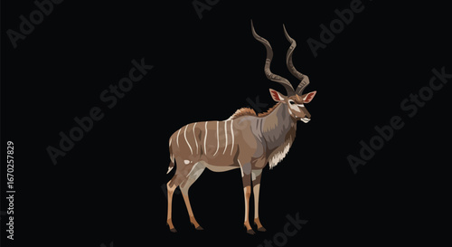 Majestic Greater Kudu Antelope in Profile View Wildlife Photography