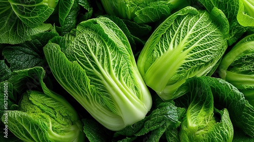 Fresh napa cabbage with layered leaves showing veined texture in green gradient natural composition