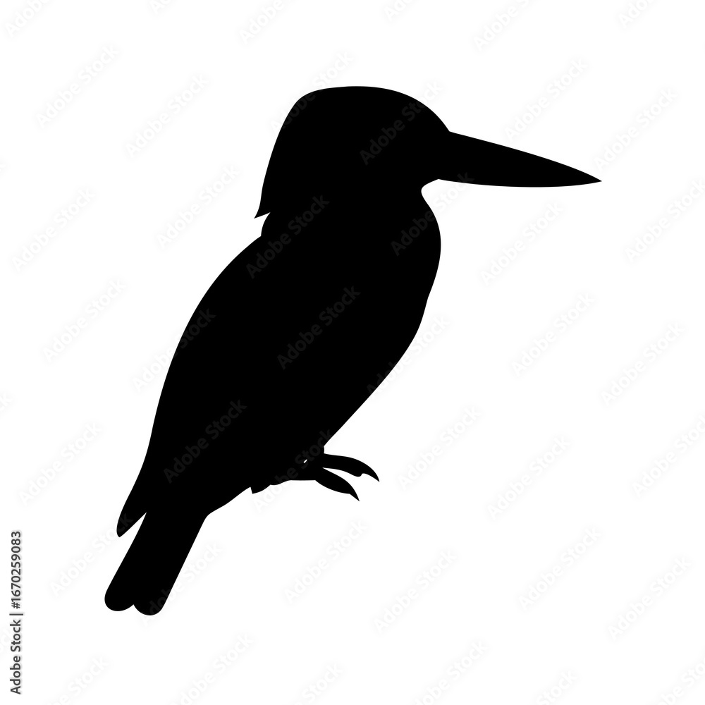Obraz premium vector illustration of a bird
