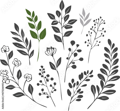 Set of elegant calligraphic botanical design elements in silhouette style. Floral decor and graceful branches.element, border, flourish, invitation, boarder, calligraphic, divider, drawing.vector 