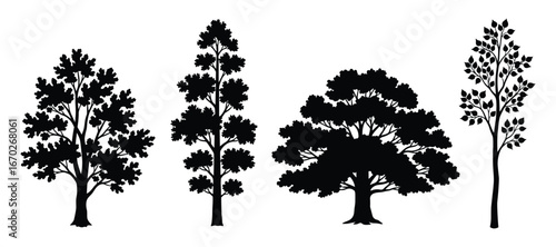 Silhouette of Trees, Including Elm, Poplar and Oak Tree, Detailed Foliage and Trunk Textures, Isolated Trees Vector Illustration