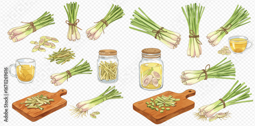 Illustration of lemongrass in various forms: whole, chopped, in oil, and as tea.