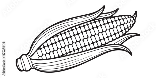 CORN  outline coloring book page line art  silhouette VECTOR ILLUSTRATION