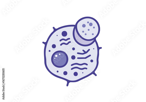 Illustration of a stylized cell with internal organelles and a smaller budding structure.