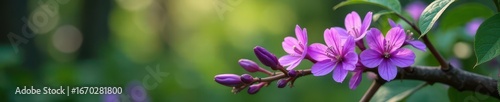 Lush purple wildflowers clustered on a weathered branch , cluster, petal, photography