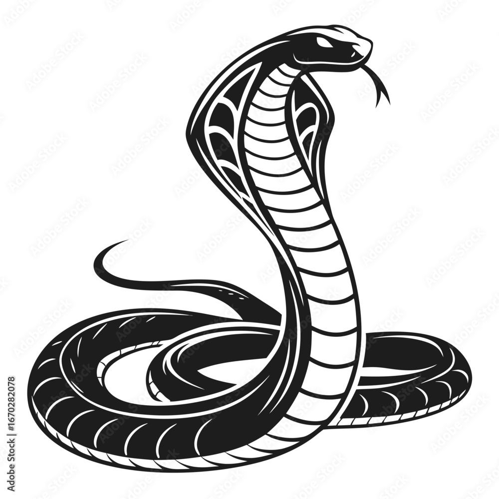 Fototapeta premium vector illustration of a black snake