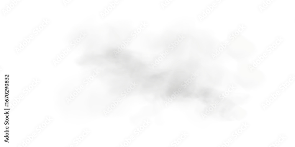 Fototapeta premium Light Grey Smoke Transparent Cloud Effect with Soft Mist and Vapor Texture