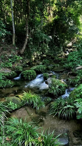 Dreamy ambient motion of water running among foliage covered rocks, scenes from a nature trail in Khao Sok National Park in Surat Thani, Thailand