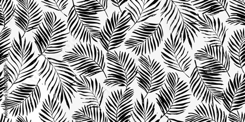 Black Palm Frond Pattern on White Background leaf leaves