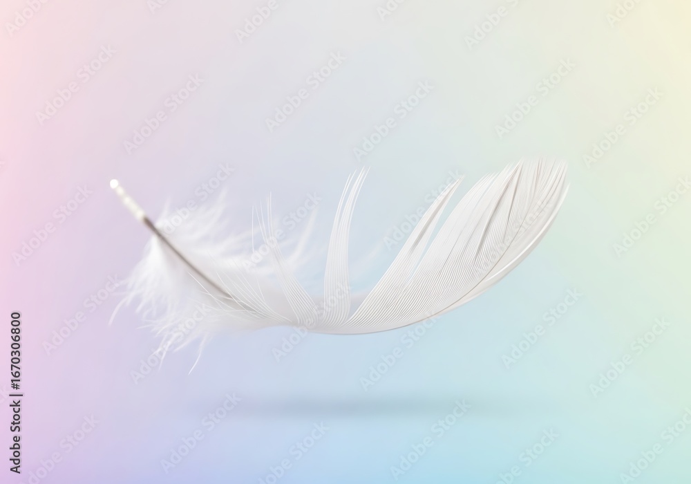 Fototapeta premium Delicate feather in soft pastel colors