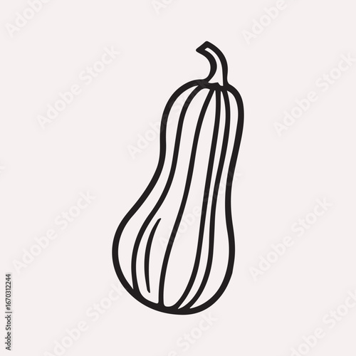 Butternut squash outline with vertical stripes vegetable food