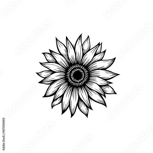 Elegant floral artistry a sunflower's monochrome illustration showcases detailed botanical drawing