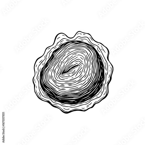 Intricate illustration of cross section revealing tree rings showcasing years of development and