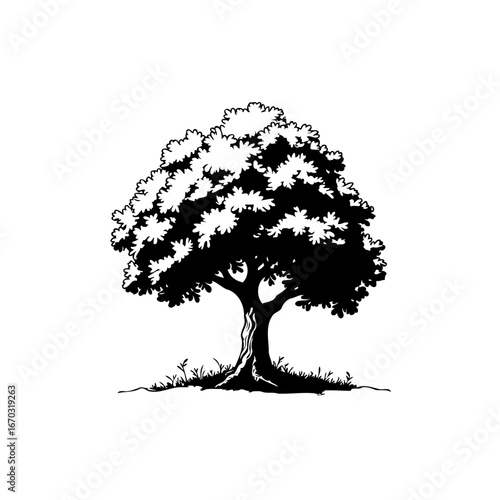 Solitary arboreal silhouette casting shadows gracefully on the ground with dense foliage in