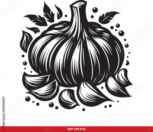 Black and White Garlic Bulb and Cloves Illustration