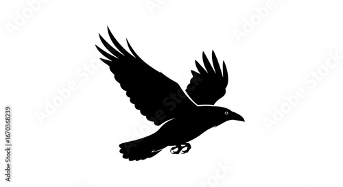 Black silhouette icon of a raven flying with a curved wing.