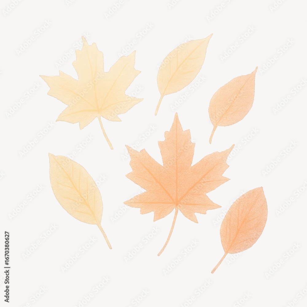 Autumn leaves delicate watercolor illustration. Autumn leaves delicate watercolor illustration.