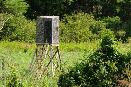 Human made deer hunting tree stand was placed out in the forest area.