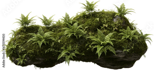 Lush moss covered rock formation with vibrant green ferns detailed textures nature's growth isolate plant