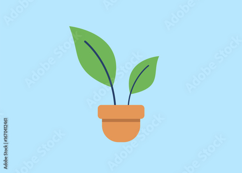 A small plant is in a pot