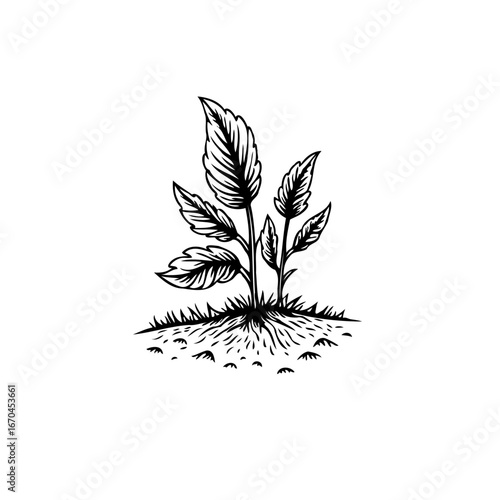 Detailed botanical illustration showcasing a young plant's vigorous growth symbolizing resilience
