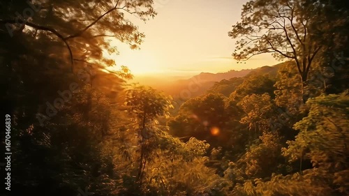 Lush, dense forest on mountainside bathed in golden sunset hues, serene and tranquil