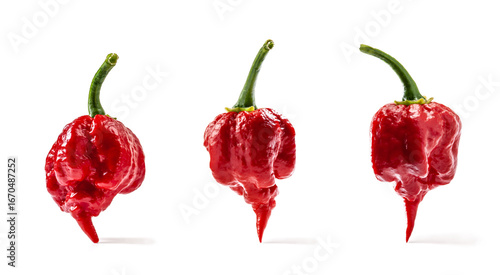 Carolina Reaper pepper isolated on white background