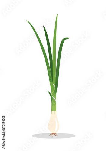 Wallpaper Mural Fresh green scallion illustration for healthy recipes or vibrant culinary designs and organic food concepts Torontodigital.ca