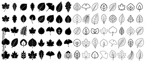 Leaf Set Svg. Extensive vector set of diverse autumn leaves, featuring silhouettes and outlines of various tree species like oak, maple, and ginkgo, ideal for seasonal and botanical designs.
