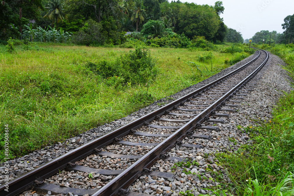 Fototapeta premium Railway track in the rural area