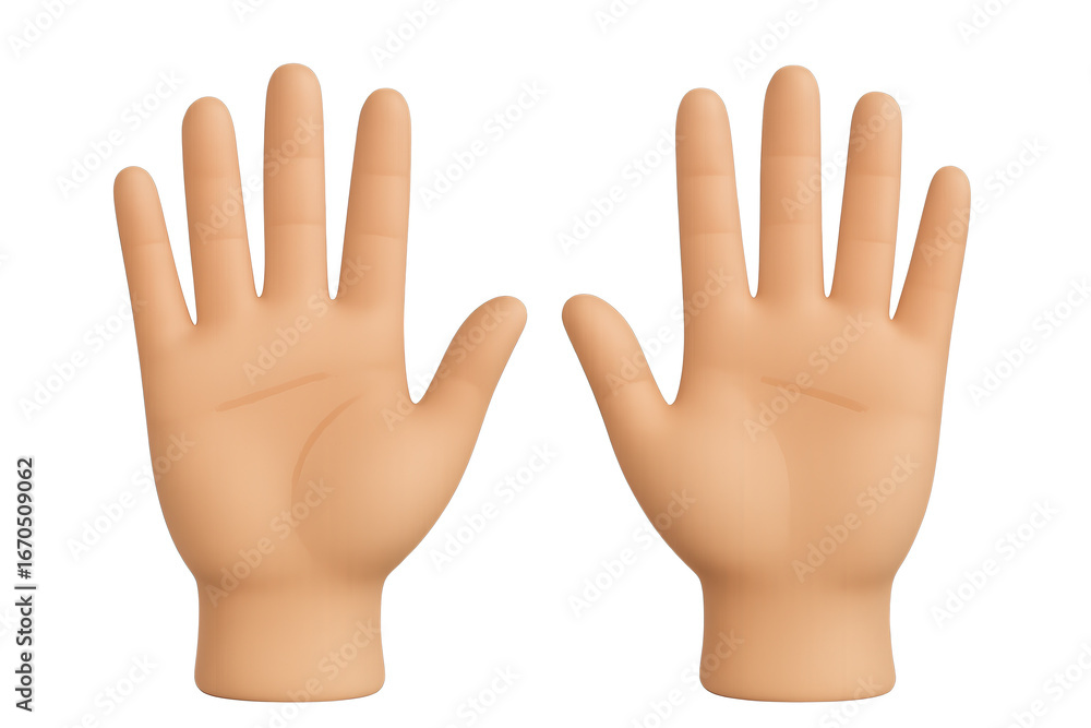 Obraz premium Realistic 3D illustration of human hands raised up isolated on white background, left and right hand front view, educational anatomy concept 