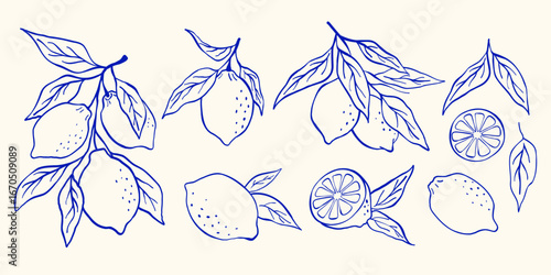 Lemons with leaves doodle illustrations. Hand drawn vintage vector graphic. Modern summer floral print for posters and cards.