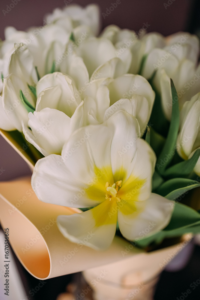 Obraz premium Bouquet of white tulips with yellow centers, wrapped in soft craft paper. Fresh spring flowers symbolize purity and elegance, perfect for celebration, floral decor, and romantic occasions