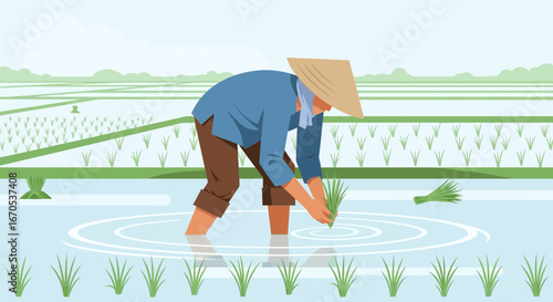 Southeast Asian Farmer Working In Rice Field At Sunrise Vector Illustration