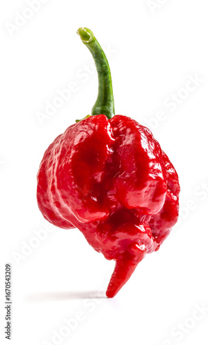 Carolina Reaper pepper isolated on white background