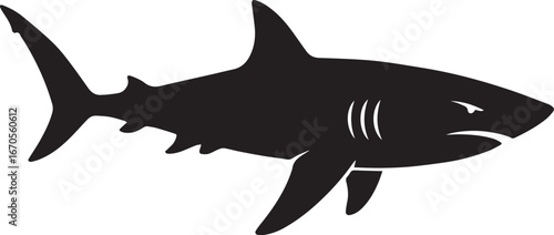 sharke silhouette vector
