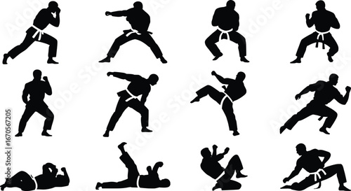 Martial arts silhouettes diverse poses and actions