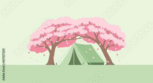Tent Camping Amidst Cherry Blossoms Peaceful Outdoor Recreation Scene