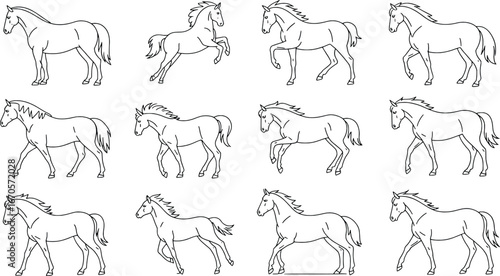 Collection of elegant horse sketches in various dynamic poses