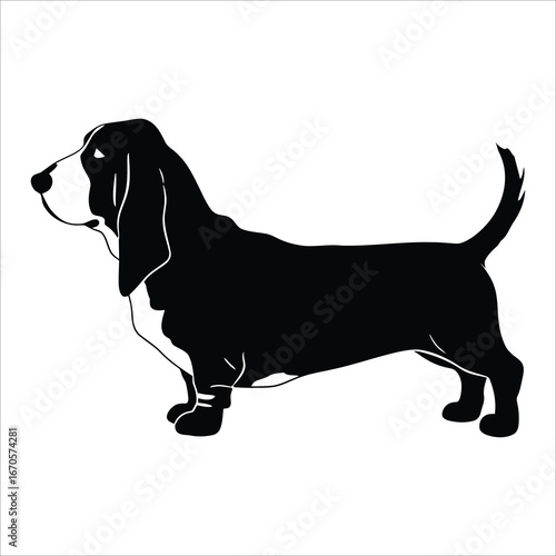 A Side View Silhouette of a Black and White Basset Hound Dog