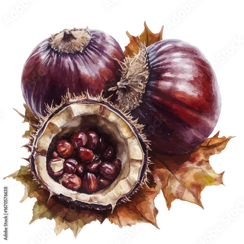 Chestnut Branch Closeup, watercolor painting vector, isolated on a white background.
