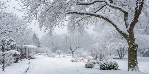 Winter Wonderland Snow Cove...