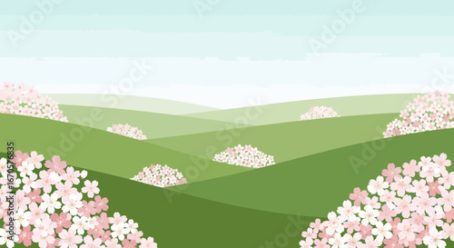 Tranquil Rolling Green Hills Adorned With Delicate Cherry Blossoms Landscape