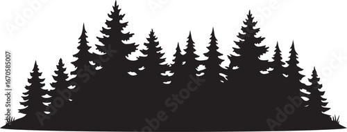 Black silhouette of a dense pine forest trees pine tree