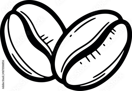 Artistic sketch of two coffee beans aromatic brew ingredient vector