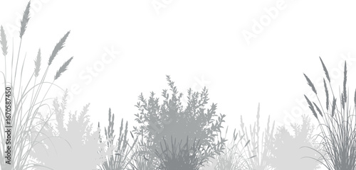 Stylized grayscale silhouettes of various wild grasses and natural foliage creating a serene and organic border design element for decorative projects