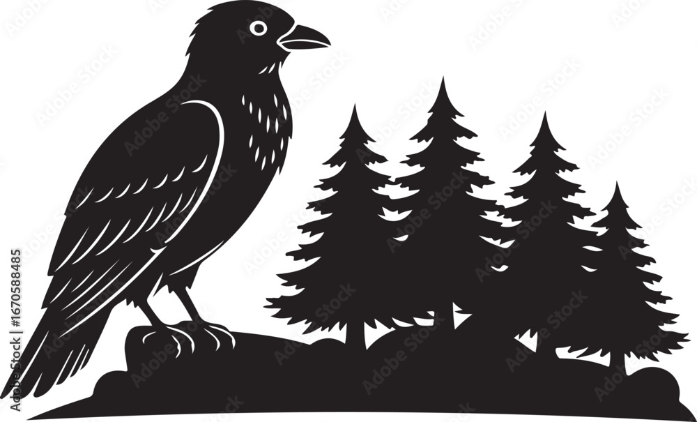 Obraz premium Black Silhouette of Raven on Rock with Pine Trees bird