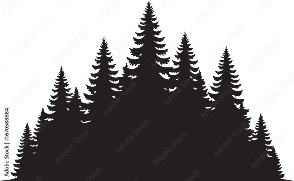Obraz premium Black Silhouette of Dense Evergreen Forest Horizon