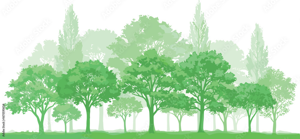 Fototapeta premium Diverse forest scene with varying shades of green trees and foliage creating a layered, natural landscape