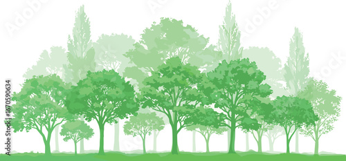 Diverse forest scene with varying shades of green trees and foliage creating a layered, natural landscape